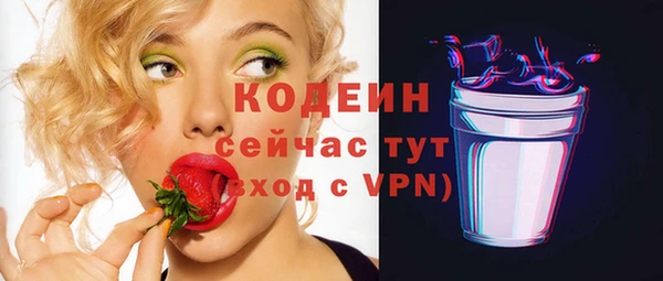 соль ск Верхний Тагил