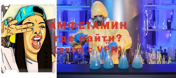 дурь Бородино