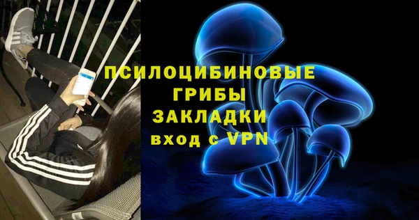 соль ск Верхний Тагил