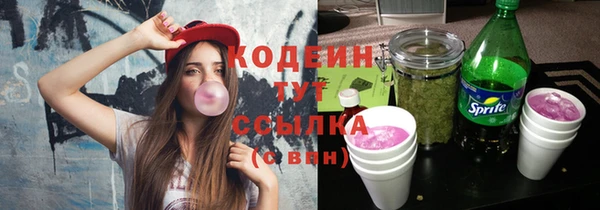 соль ск Верхний Тагил